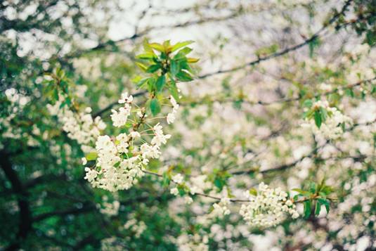 【荐读】读书,是一种生命的化妆