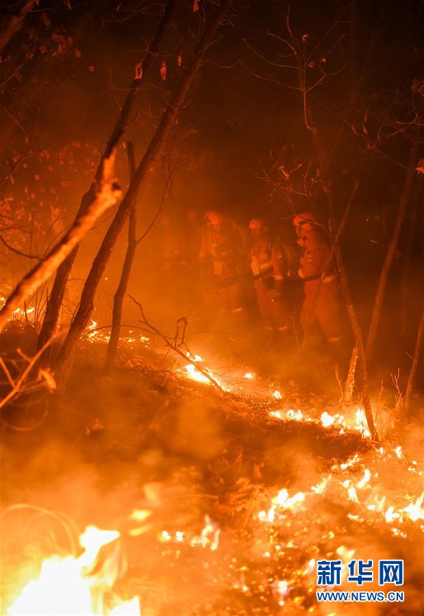 （突发事件）（8）内蒙古全力扑救大兴安岭北大河林场森林火灾 