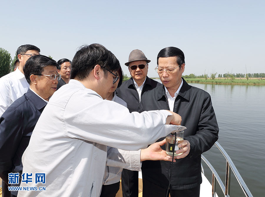 5月6日，中共中央政治局常委、国务院副总理张高丽在河北实地察看和调研雄安新区规划建设有关工作。这是张高丽在白洋淀察看生态环境整治工作。新华社记者 王晔 摄