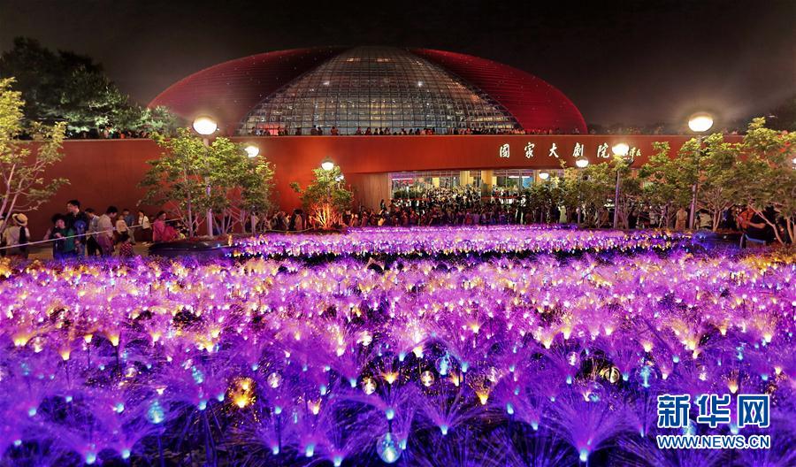 （社会）（3）大剧院夜色