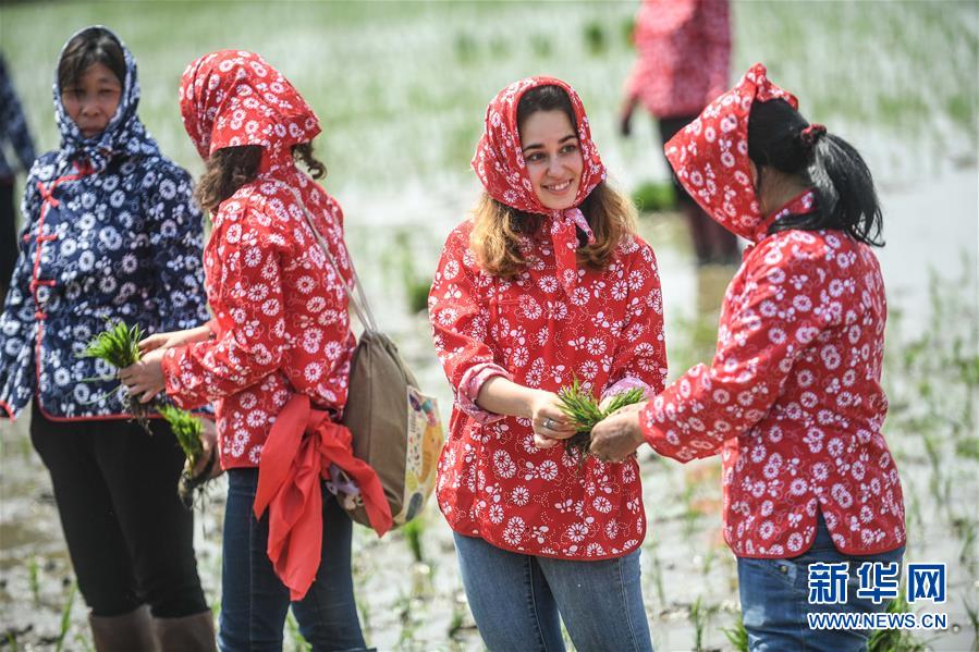 （社会）（2）插秧节上体验农耕文化