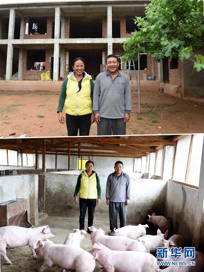 （砥砺奋进的五年）（3）滇西山区白族群众发展养殖业脱贫致富影像