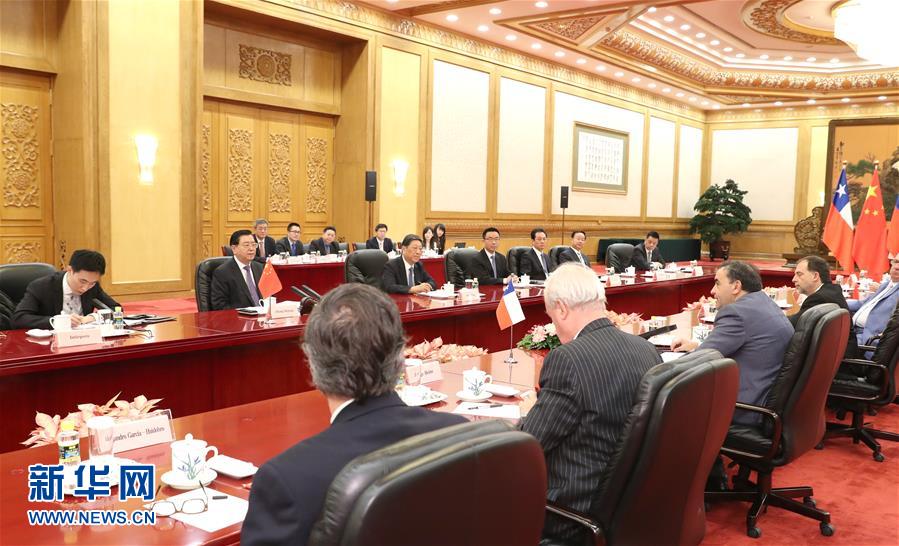 5月24日，全国人大常委会委员长张德江在北京人民大会堂会见出席中智议会政治对话委员会第十一次会议的智利国会众议长埃斯皮诺萨一行。新华社记者 马占成 摄