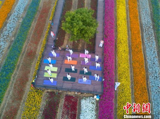 无锡瑜伽爱好者&ldquo;七彩花园&rdquo;中备战国际瑜伽节
