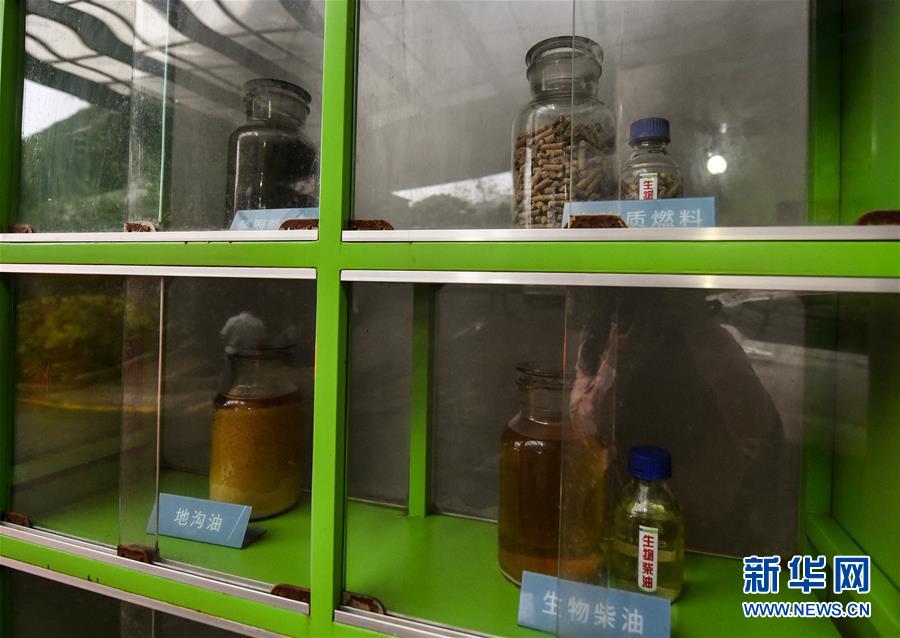 （世界环境日&middot;图文互动）（7）深圳盐田餐厨垃圾变身记