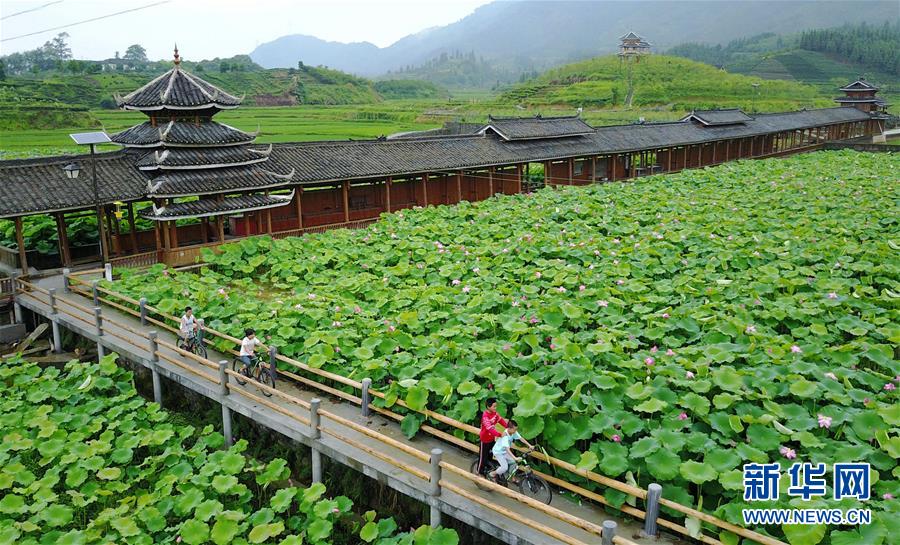 #（環境）（1）廣西三江侗寨荷香