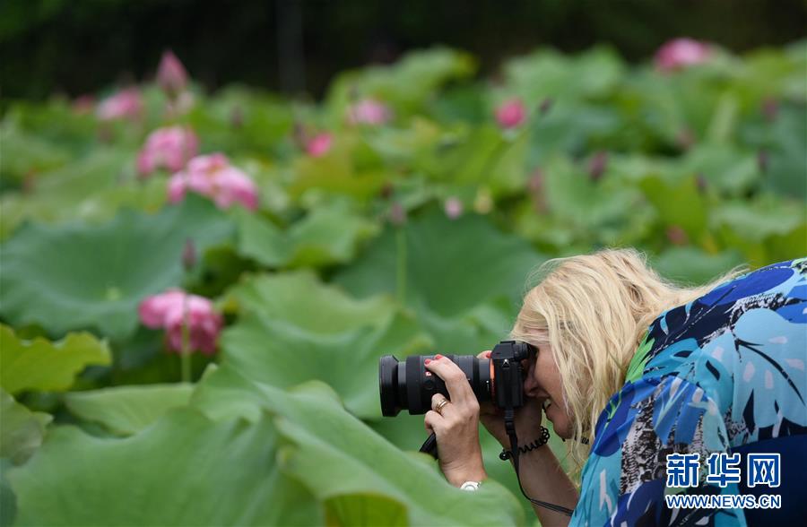 #（環境）（3）廣西三江侗寨荷香