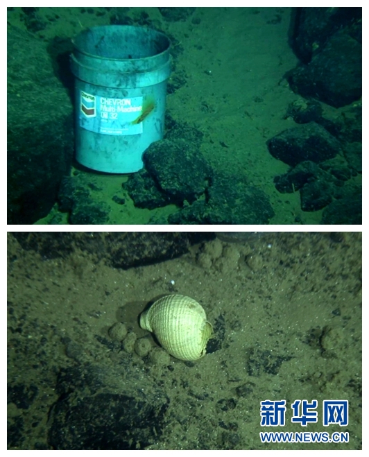 （&ldquo;蛟龙&rdquo;潜深渊&middot;图文互动）（7）雅浦海沟动物世界探秘：&ldquo;蛟龙&rdquo;号5000米深海大型动物见闻