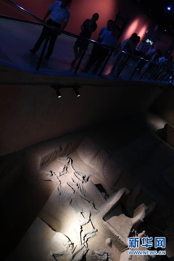 （文化）（5）河南新郑郑国车马坑三号坑考古加紧进行