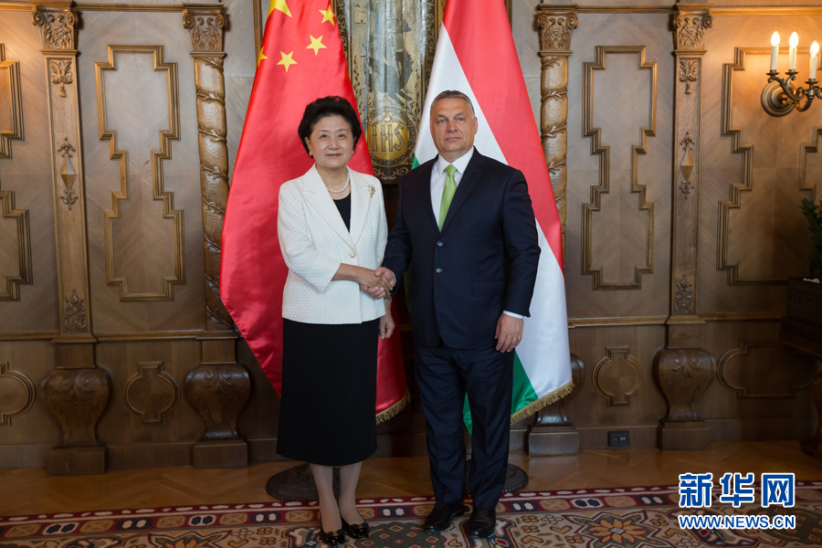  6月21日，国务院副总理刘延东（左）在匈牙利布达佩斯国会大厦会见匈牙利总理欧尔班。 新华社发（弗尔季&middot;奥蒂洛摄）