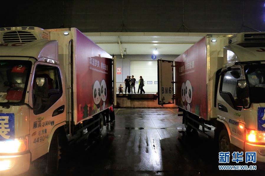 （图文互动）（5）大熊猫“梦梦”“娇庆”启程赴德