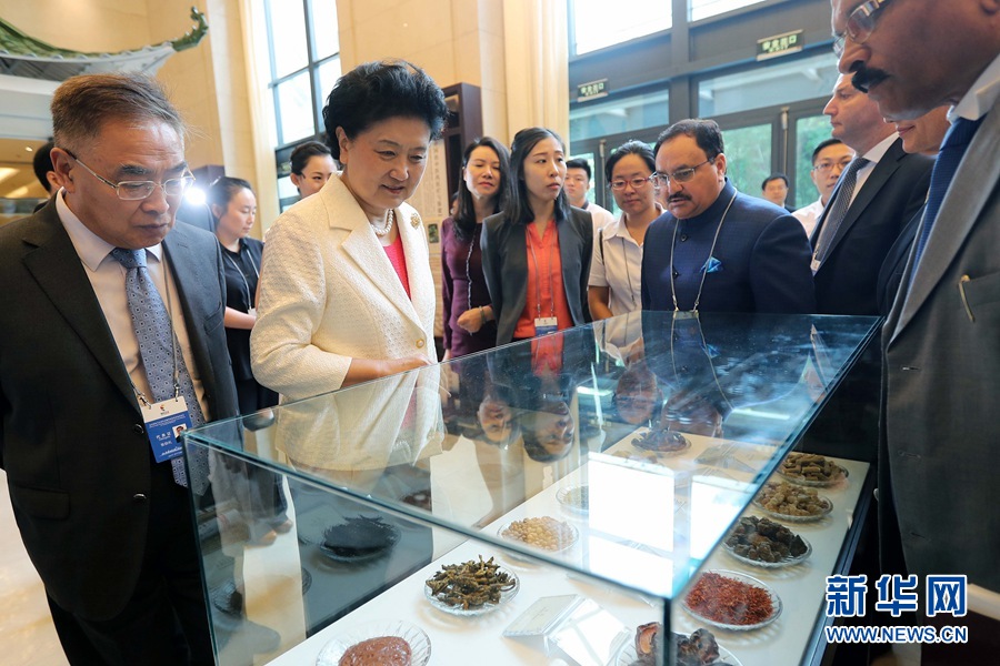 7月6日，金砖国家卫生部长会暨传统医药高级别会议在天津开幕。这是国务院副总理刘延东与外宾一起参观传统医药文化展。 新华社记者 张玉薇 摄