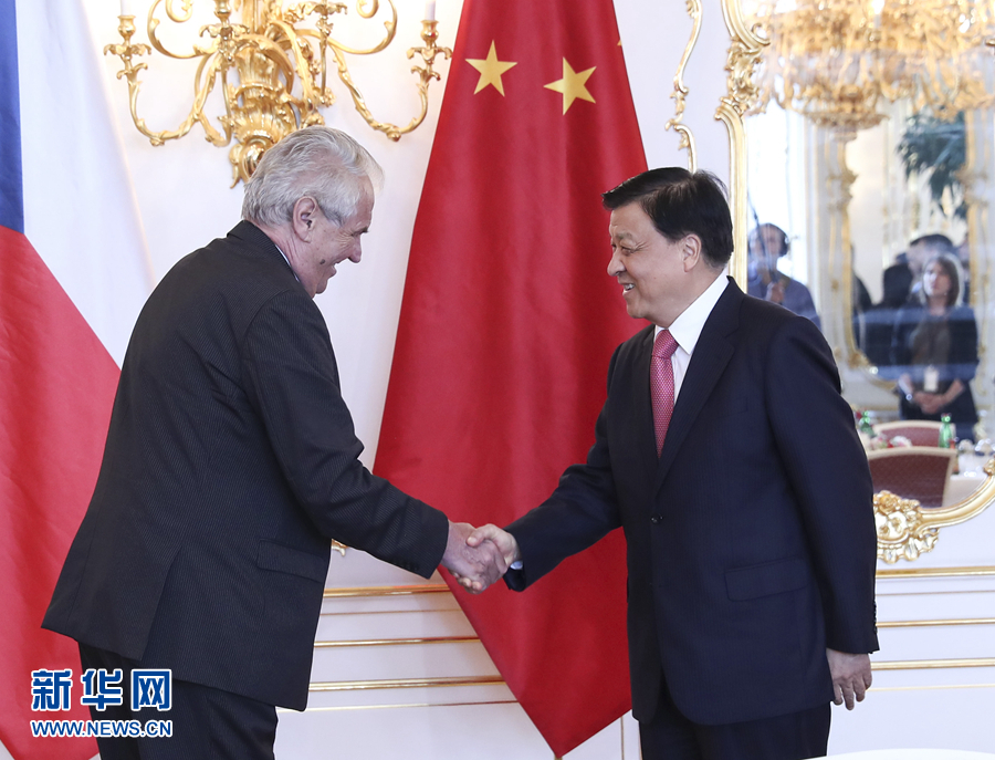 7月16日至19日，应捷克社会民主党副主席、众议长哈马切克邀请，中共中央政治局常委、中央书记处书记刘云山对捷克进行正式友好访问。这是7月18日，刘云山在布拉格会见捷克总统泽曼。新华社记者 庞兴雷 摄