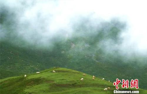 资料图：七月的祁连山云雾缭绕。　郎文瑞 摄