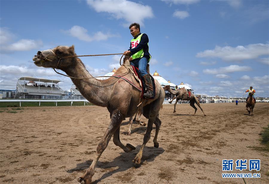 (守望相助70载·壮美亮丽内蒙古)(3)融入现代生活的那达慕