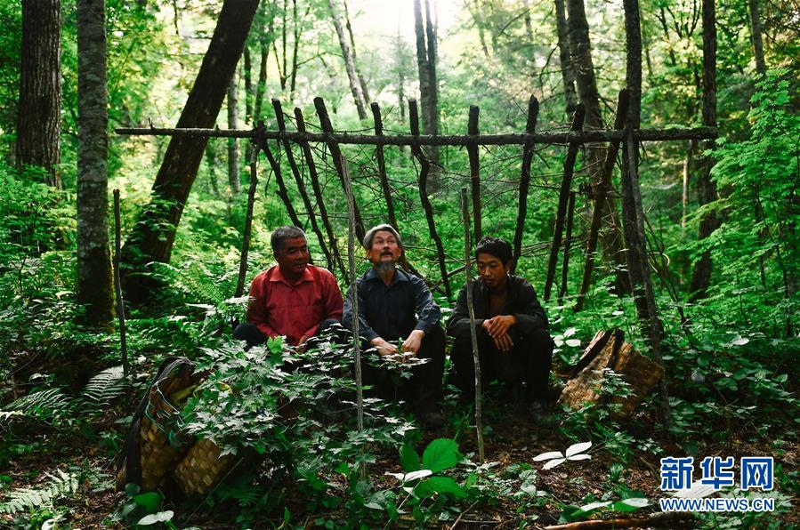 (图片故事)(4)长白山下采参人