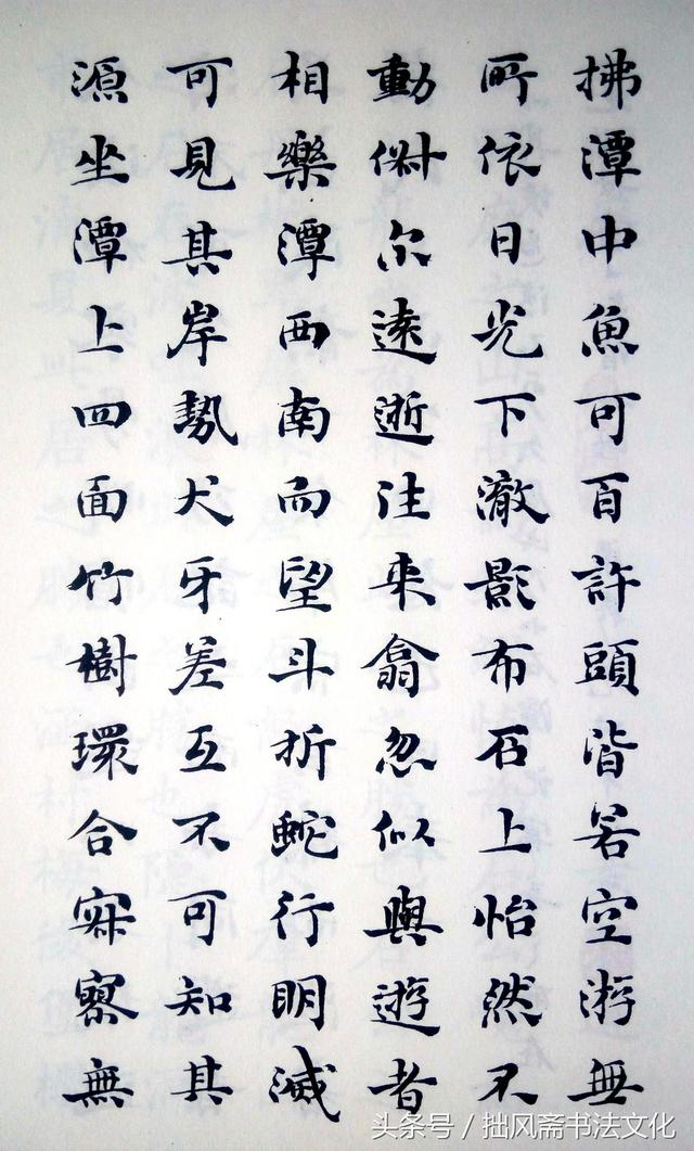 小楷王梁鼎光书柳宗元《小石潭记》，绰约多姿，精美至极！