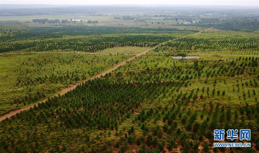 （守望相助70载&middot;壮美亮丽内蒙古）（2）内蒙古初步建成横跨我国三北的生态屏障