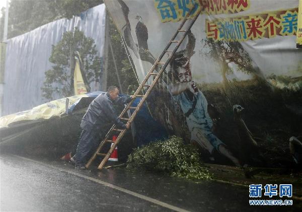 (环境)(2)台风“纳沙”登陆福建福清