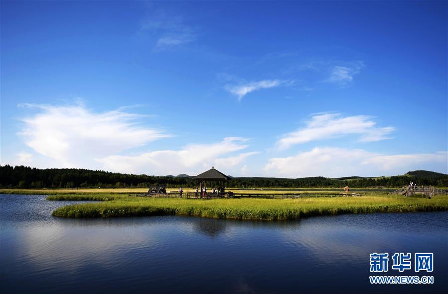 （新华全媒头条&middot;图文互动）（1）从一棵树到一片&ldquo;海&rdquo;&mdash;&mdash;塞罕坝生态文明建设范例启示录