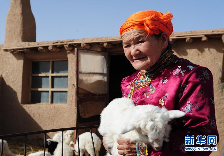 （新华全媒头条&middot;图文互动）（3）丰碑&mdash;&mdash;三千&ldquo;国家的孩子&rdquo;与&ldquo;草原母亲&rdquo;的传奇