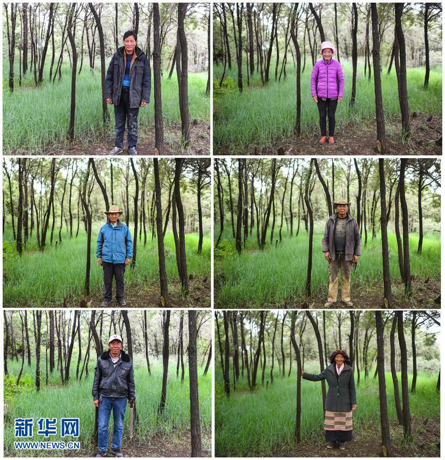 （砥砺奋进的五年&middot;绿色发展　绿色生活&middot;图文互动）（10）风沙地里&ldquo;长出&rdquo;绿色家园&mdash;&mdash;西藏山南隆子县53年造林治沙记