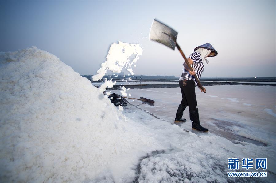 （社会）（4）福建泉州：百年盐场的繁忙伏收季
