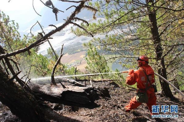 (砥砺奋进的五年·绿色发展 绿色生活·图文互动)(1)天边林海的绿色守护人