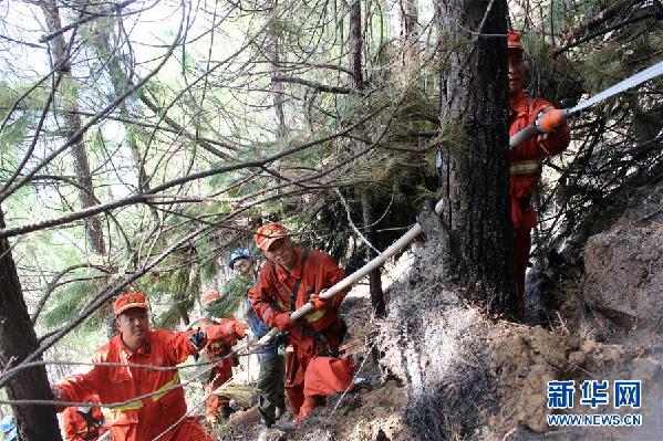 (砥砺奋进的五年·绿色发展 绿色生活·图文互动)(2)天边林海的绿色守护人