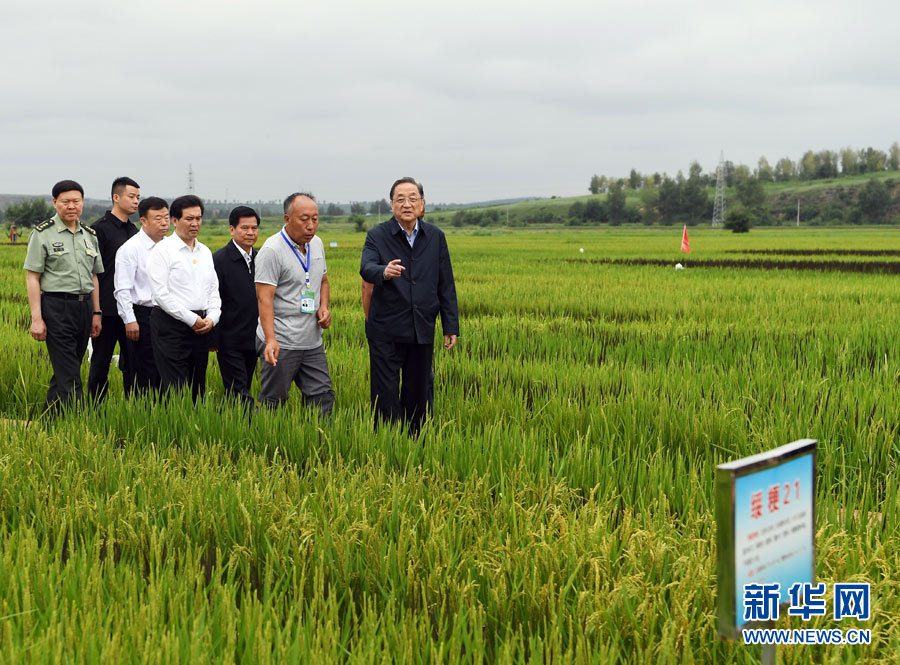 8月11日,带着以习近平同志为核心的党中央的亲切关怀和全国各族人民的真挚祝福,中共中央政治局常委、全国政协主席、中央代表团团长俞正声率中央代表团一分团,在兴安盟看望慰问各族干部群众,共同庆祝内蒙古自治区成立70周年。这是俞正声在乌兰浩特市绿色有机水稻种植示范园区考察。新华社记者 张领 摄 8月11日,带着以习近平同志为核心的党中央的亲切关怀和全国各族人民的真挚祝福,中共中央政治局常委、全国政协主席、中央代表团团长俞正声率中央代表团一分团,在兴安盟看望慰问各族干部群众,共同庆祝内蒙古自治区成立70周年。这是俞正声在乌兰浩特市绿色有机水稻种植示范园区考察。新华社记者 张领 摄