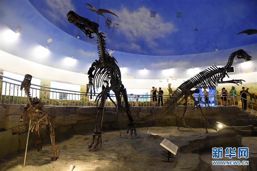 （社会）（8）走进嘉荫恐龙国家地质公园