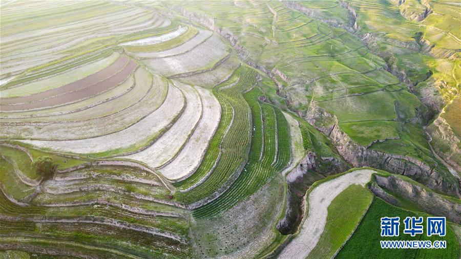 （空中之眼）（4）六盘山 梯田美