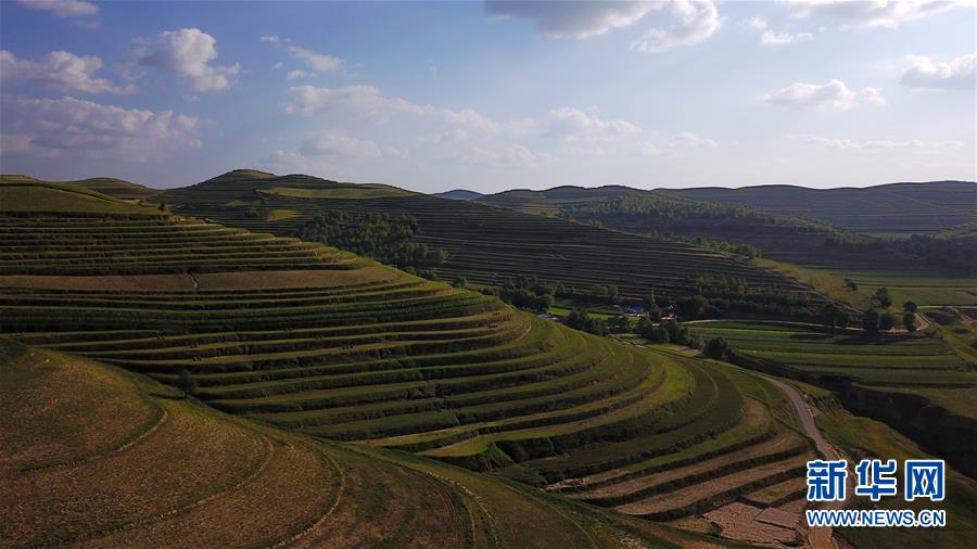（空中之眼）（7）六盘山 梯田美