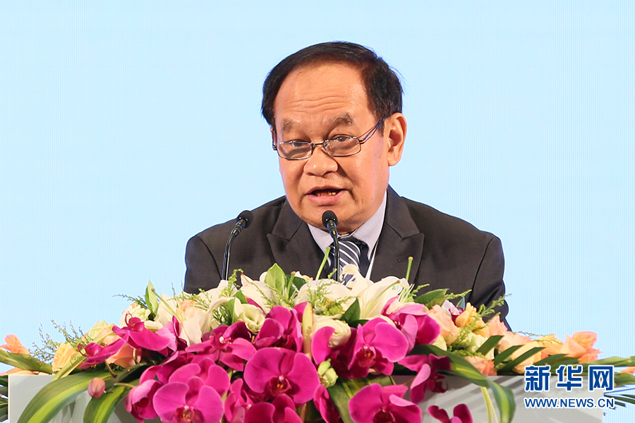 缅甸卫生部部长敏推发言