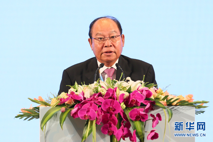 柬埔寨卫生部部长曼本亨发言