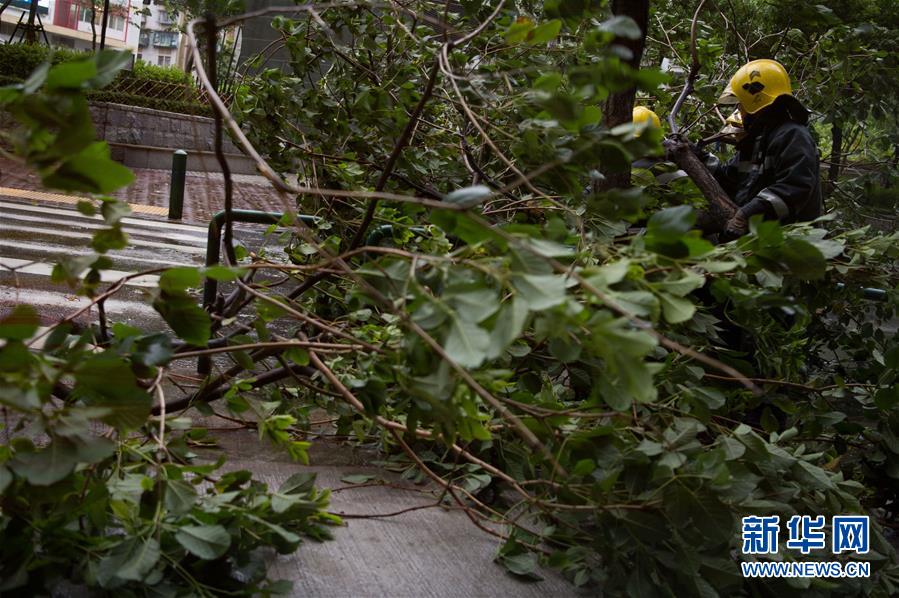 （图文互动）（1）台风&ldquo;天鸽&rdquo;来袭　澳门挂10号风球严阵以待