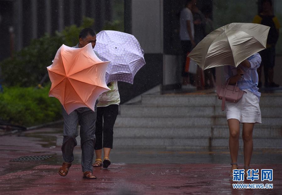 （环境）（1）&ldquo;帕卡&rdquo;台风登陆广东