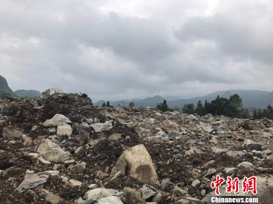 图为现场。 钟欣 摄