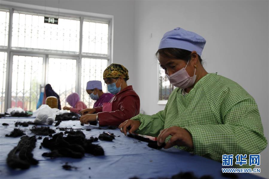 （社会）（6）宁夏泾兴村：一个生态移民新村的扶贫脱贫之路