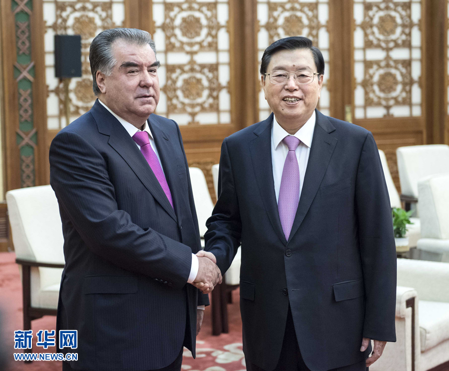 8月31日，全国人大常委会委员长张德江在北京人民大会堂会见塔吉克斯坦总统拉赫蒙。 新华社记者李涛摄