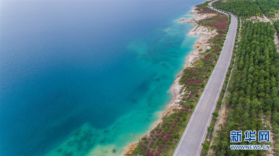 （图文互动）（1）&ldquo;城市伤疤&rdquo;变身生态公园&mdash;&mdash;广东茂名油页岩露天矿生态修复记 