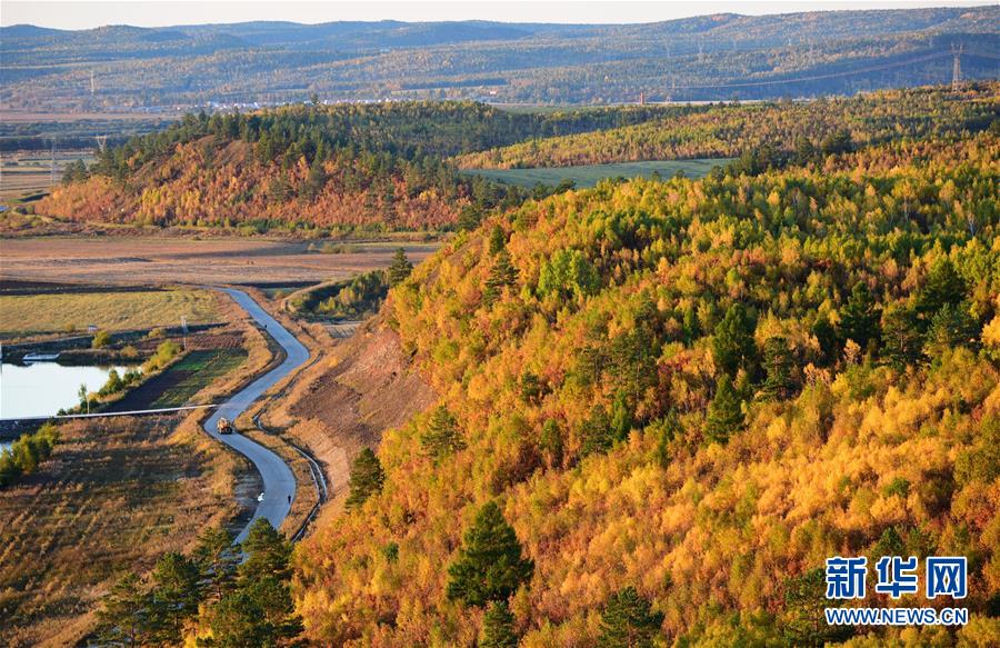 #（美丽中国）（2）黑龙江呼玛：绚丽秋色惹人醉
