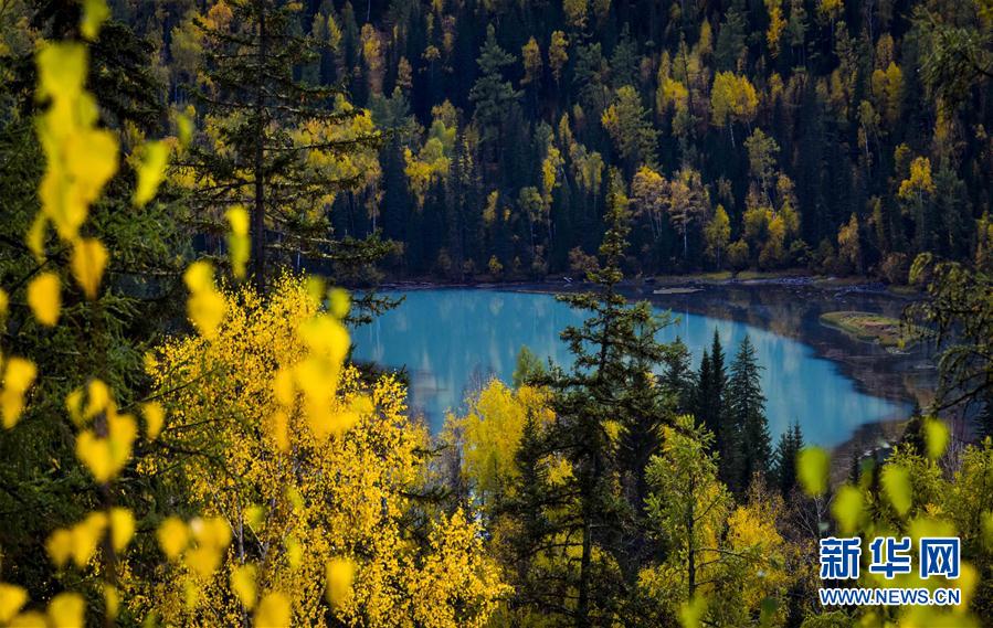 （美丽中国）（5）喀纳斯：秋景入画来