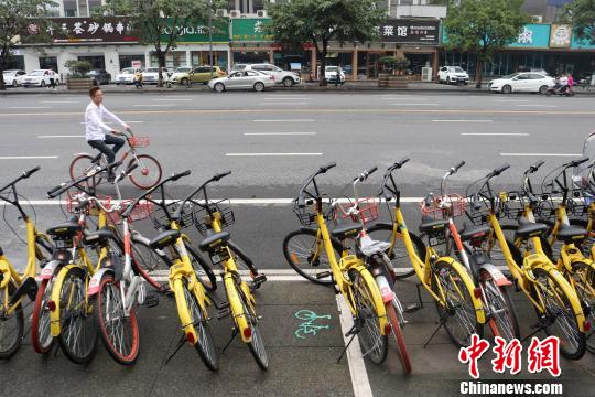 绿色排行榜_31省份绿色发展指数排名首公布:京闽浙位列前三(2)