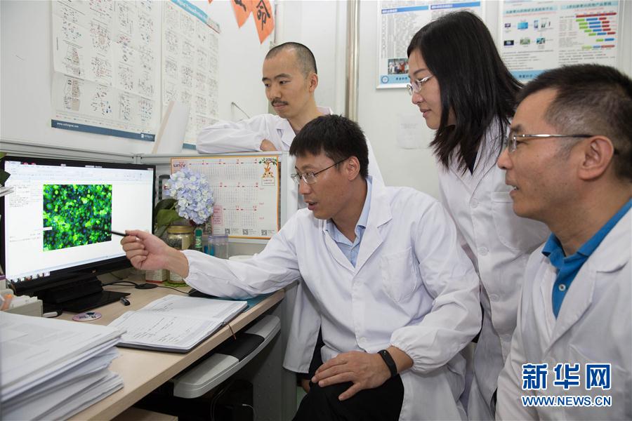 （新华全媒头条）（喜迎十九大&middot;长三角听新潮&middot;图文互动）（4）浩渺行无极　扬帆但信风&mdash;&mdash;长三角建设世界级城市群纪实