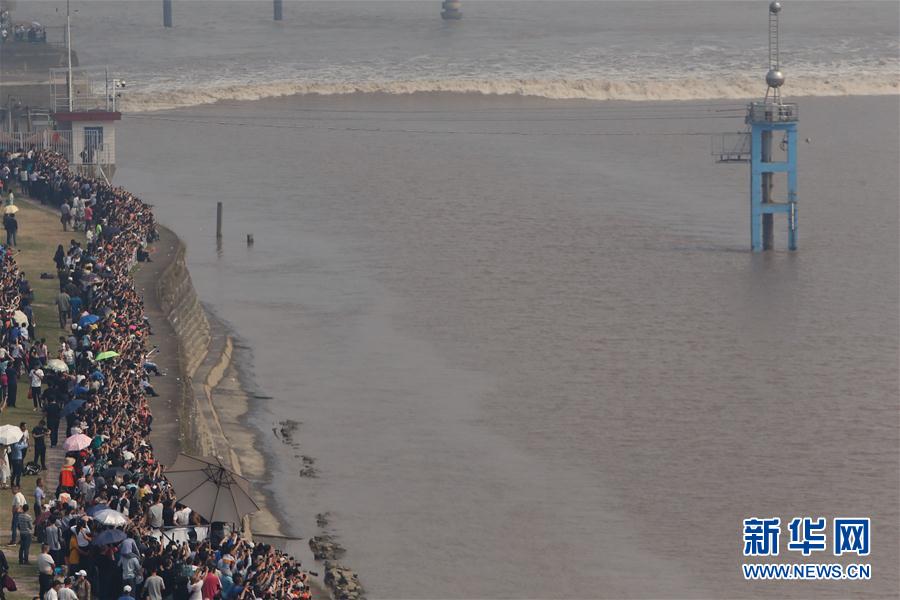 （环境）（4）八月十八潮