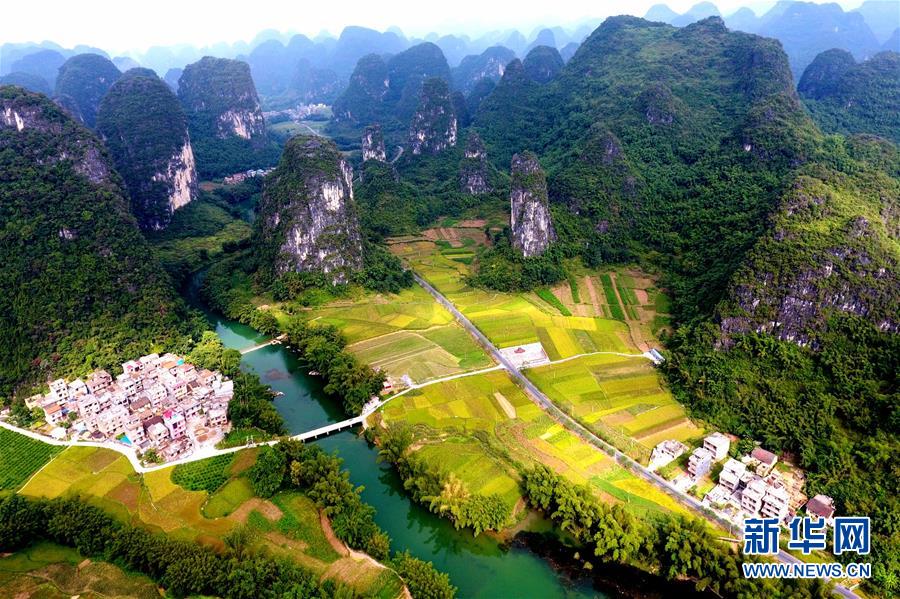 #（社会）（7）秋色如画