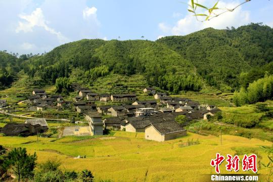 福建寿宁梯田线条美如画