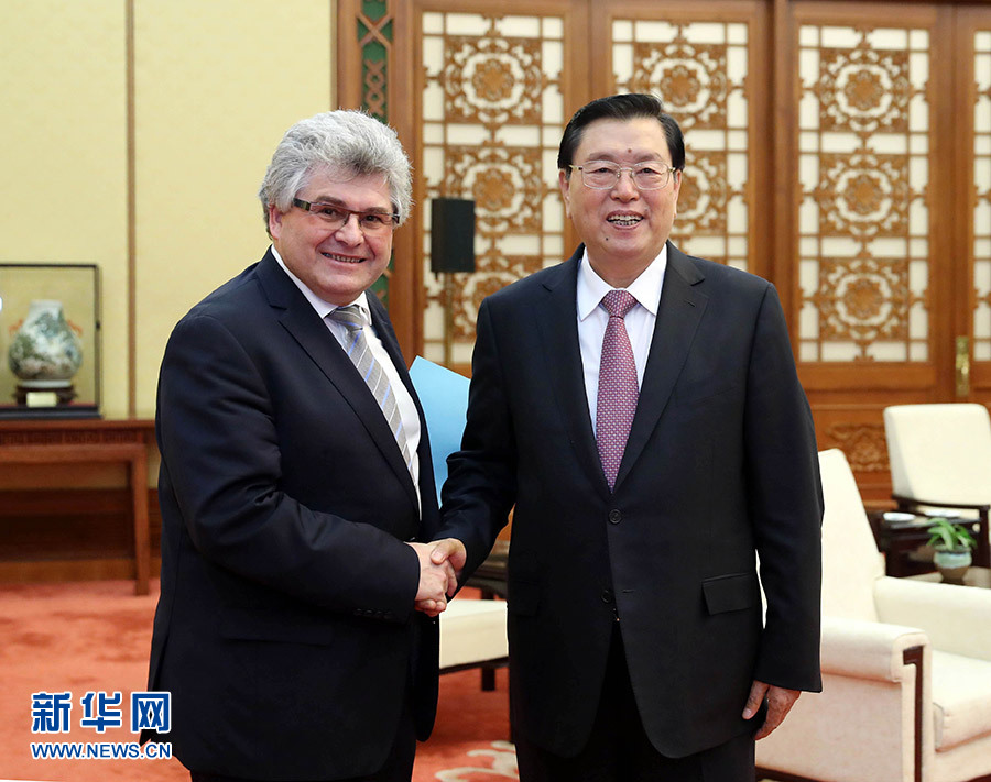 10月31日，全国人大常委会委员长张德江在北京人民大会堂会见瑞士联邦议会联邦院议长比绍夫贝尔格。新华社记者 刘卫兵 摄