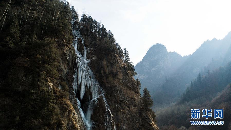 （XHDW）（4）航拍冬日林场